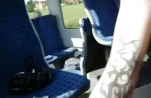 复古性20世纪70年代-雕像的欲望 尼龙色情