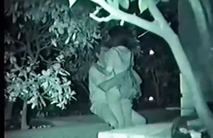 白宫,主人有黑眼睛。 侵略性色情