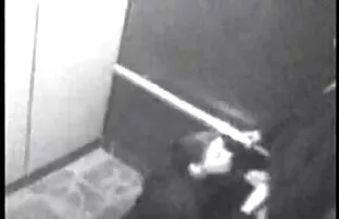 她的棕色,舔,马,红玫瑰在沙发上 新的高清代词