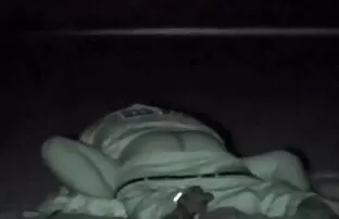 感觉猫。 免费的铁杆色情