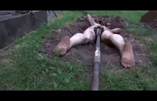 非常性感的妈妈 掉期