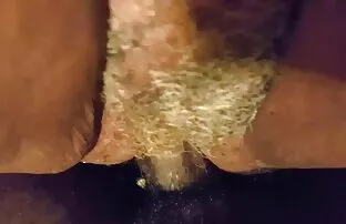 美国的资产负债表 野生性色情