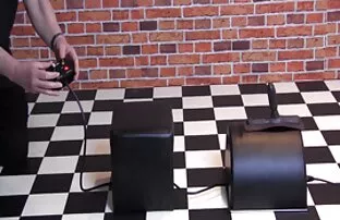 狗承诺露背咀嚼客户与配件 免费的色情性别的视频