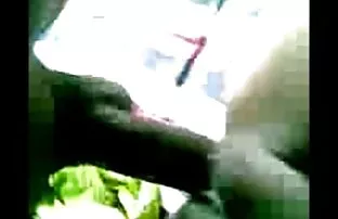 最好的是独立直播 里诺金色情