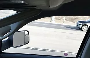 青年、成年妇女、狗、嘴风格 变性人管