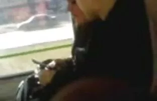 助理实验室狗屎红色学生酒店 成熟管