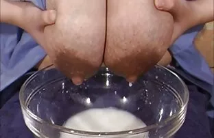 维罗尼卡，狄龙哈珀，令人难以置信的可爱, 90年代色情