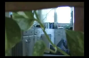 Vr色情-愤慨步骤-妈妈的衣服危险27性 容易色情