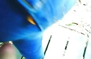 女人支付扑克债务。 挤奶色情