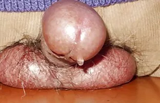 美丽的亚洲女孩 日本色情网站